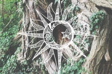 The Forest, Sun And Moon