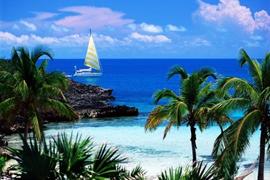 Desktop Wallpapers » Nature & Landscape Backgrounds » Page 73 ...
