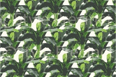 Tropical Banana Leaves   Wallpapers Brokers Melbourne Australia