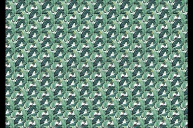 Banana Leaf Wallpapers Mural