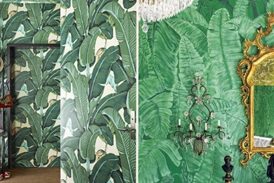 DOMAINE HOME AND WALLPAPER CHASING