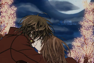 Love   Vampire Knight Wallpapers (27038547)   Fanpop