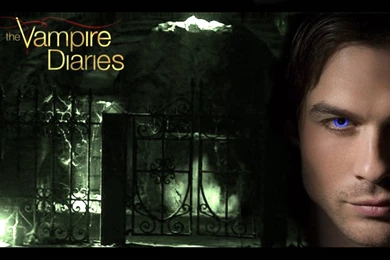 The Vampire Diaries   LOVE ANGELS Wallpapers (23479346)   Fanpop