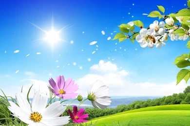 Spring Nature Wallpapers High Resolution   HD Widescreen Wallpapers