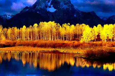 413 Yellow HD Wallpapers