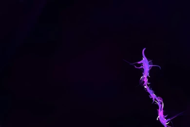 Download Pop Dance On CrystalXP.net   Wallpapers