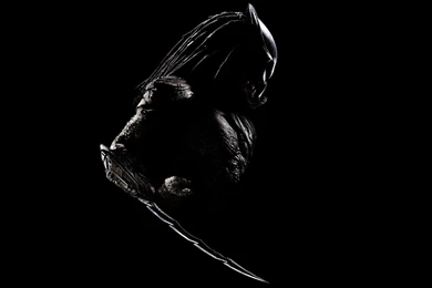 Movie Wallpapers   Kokean.com: Alien Vs Predator Wallpapers Iphone ...