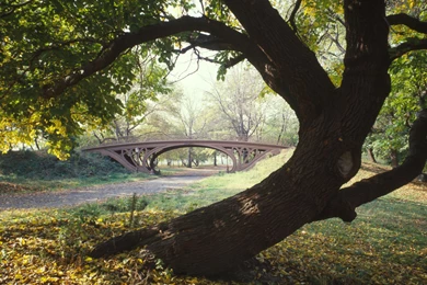 Free Central Park Wallpapers