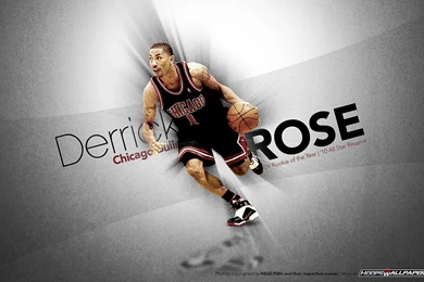 Chicago Bulls Wallpapers Rose