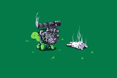 Rabbits Minimalism Humor Turtle HD Wallpapers, Desktop Backgrounds ...