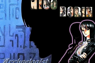 Robin   One Piece Wallpapers (10390088)   Fanpop