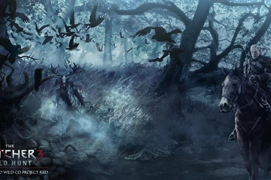 The Witcher 3 Wallpapers   Wallpapernine.com