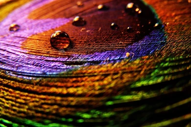 Creative HD Wallpapers