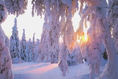 Icy Tundra Wallpapers