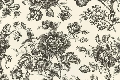 Black Rose Toile Wallpapers By Brewster