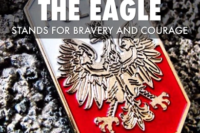 Polish Flag By Farrenk