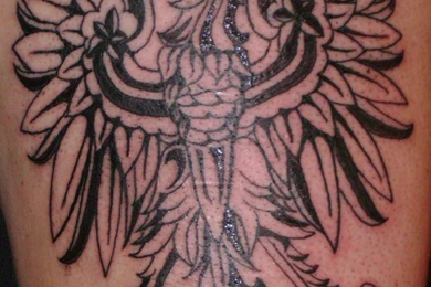 Polish Eagle By QueenMab6 On DeviantArt