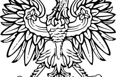 Rules Of The Jungle: Eagles In Symbols   Polish Eagle