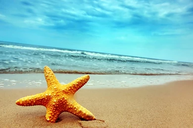 Awesome Family Wallpapers HD (iPhone) Reviews At iPhone Quality Index