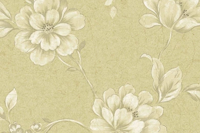 Beige Silver HAV40814 Elegant Trail Wallpapers   Interior Home Decor