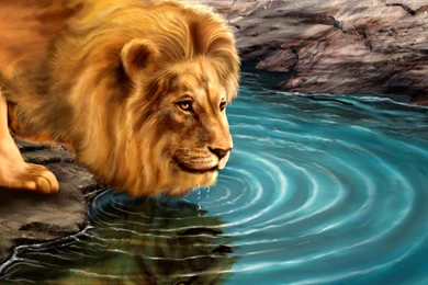 All The Best Wallpapers Download,desktop Wallpapers