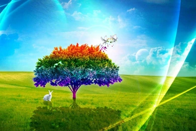 All The Best Wallpapers Free Download,desktop Wallpapers