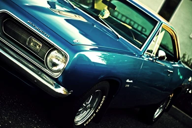 Muscle Cars : Desktop And Mobile Wallpapers : Wallippo