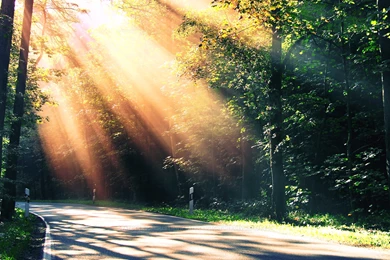 To Paradise Hd Wallpapers Theme Bin Customization Hd Wallpapers 1 ...