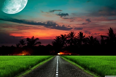 Lost Paradise HD Desktop Wallpapers : Widescreen : High Definition ...