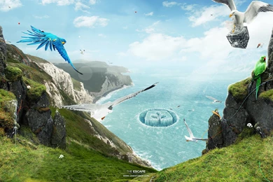 Wallpapers Tagged With PARADISE