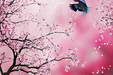 Wallz Hut: Japanese Flower Wallpapers