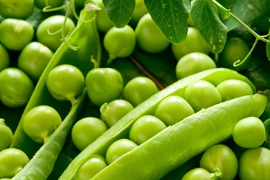 Vegetable Wallpapers >> Backgrounds With Quality HD