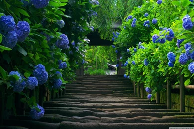Japanese Garden   Stairs HD Desktop Wallpapers : Widescreen : High ...