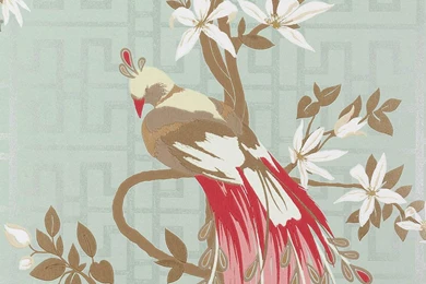 Paradiso Wallpapers By Nina Campbell