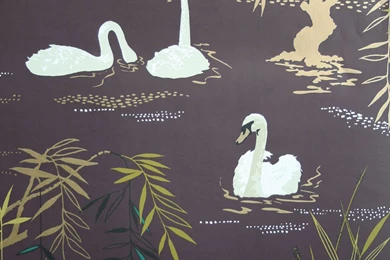 Swan Lake Wallpapers By Nina Campbell