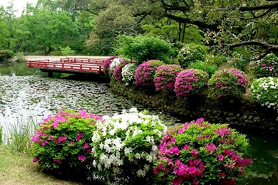 Japanese Flower Garden