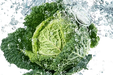 Fresh Cabbage Wallpapers