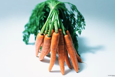 Free Wallpapers Free Photography Wallpapers Vegetable Photo 1 ...