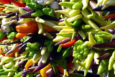 Top Fruit And Vegetable Wallpapers Desktop Wallpapers