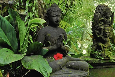 Buddha Wallpapers >> Backgrounds With Quality HD