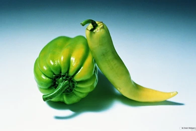 Vegetables To Draw On Pinterest