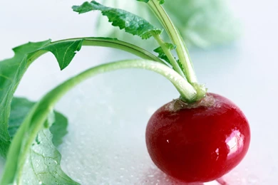 Download Wallpapers 2560x1440 Radishes, Herbs, Food, Vegetable Mac ...