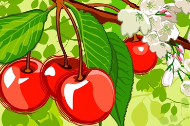 HD Food Illustrations : Delicious Food, Desserts, Vegetable And ...