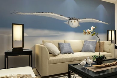 Aliexpress.com : Buy JCK VISION Eagle Flying Graphic Pattern Photo ...