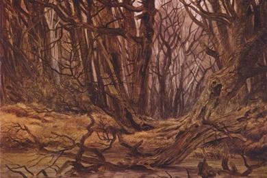 Wals In Late Autumn (forest Water Autumn Forest) , Friedrich ...