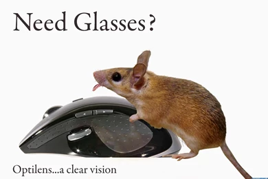 Funny Wallpapers Free Download HD Latest New Amazing