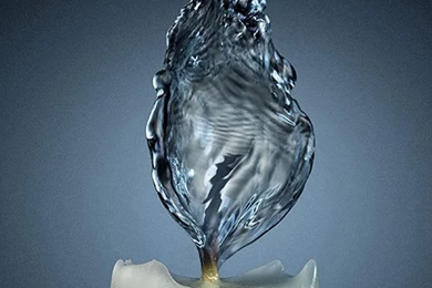 Animated Matrix: Neo Flying Mobile Phone Wallpapers 240x320 Phone ...