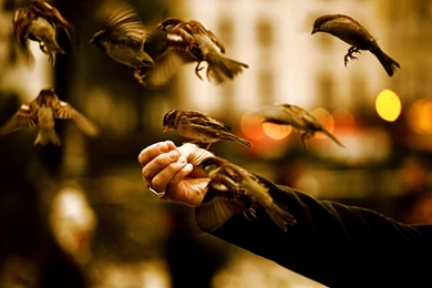 Nice Wallpapers Hd Collection (36+)