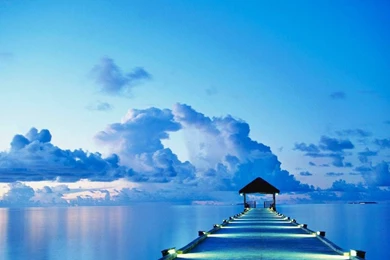 Wallpapers Nice Nature 1024x768