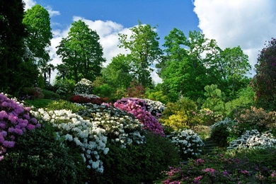 Nice Natural Garden Desktop Wallpapers